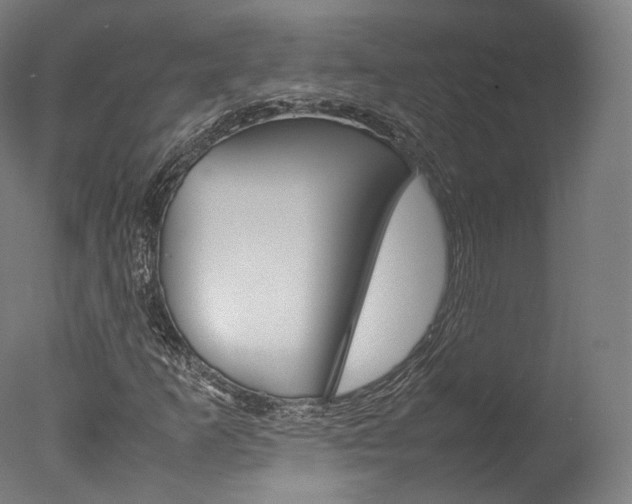 X0000077381253200610201031