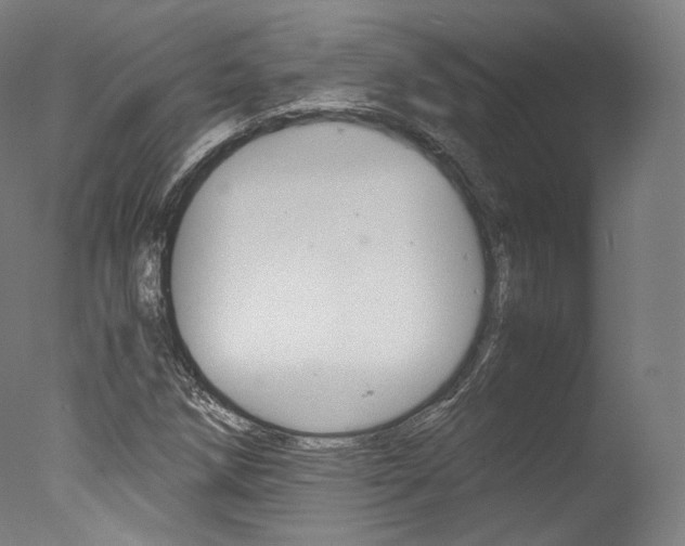 X0000077381258200610201031