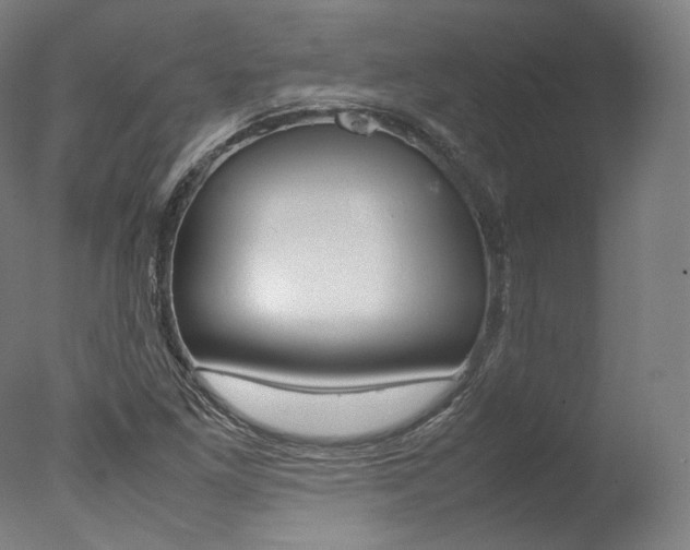 X0000077381261200610201031