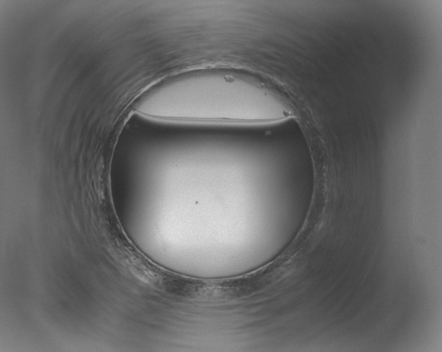 X0000077381265200610201031