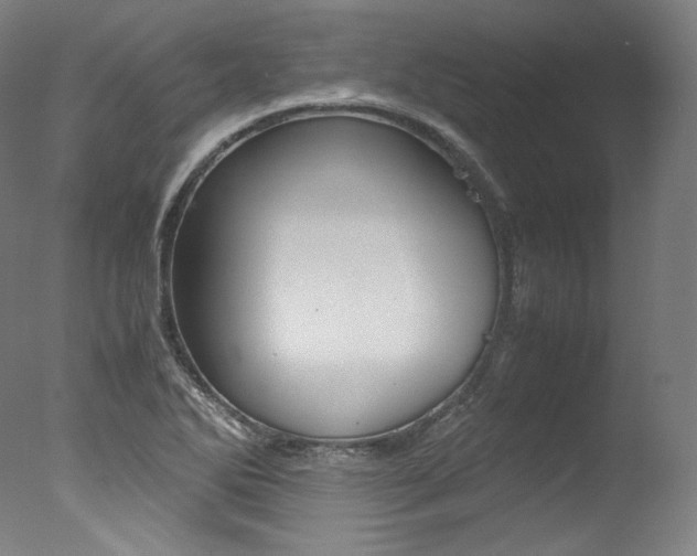 X0000077381270200610201031