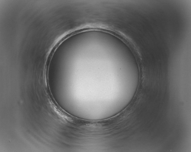 X0000077381272200610201031