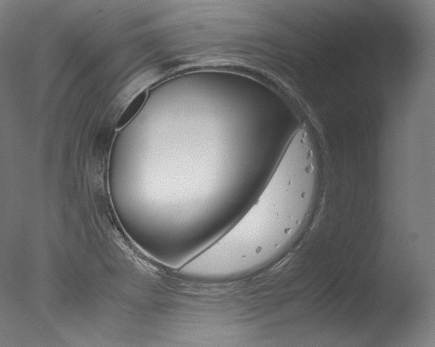 X0000077381273200610201031