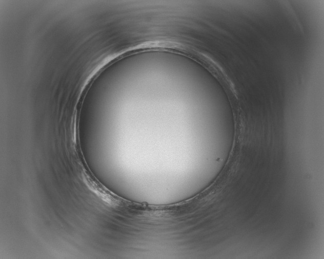 X0000077381276200610201031