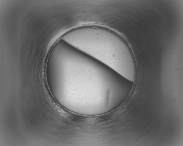 X0000077381279200610201031