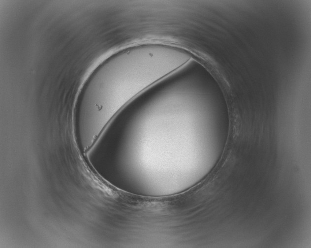 X0000077381280200610201031