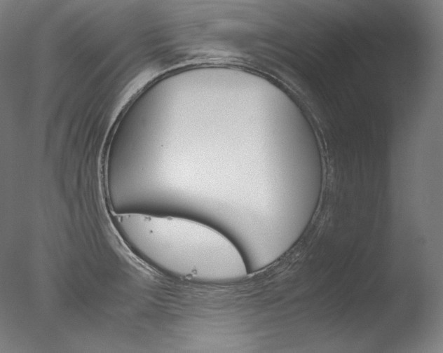 X0000077381283200610201031