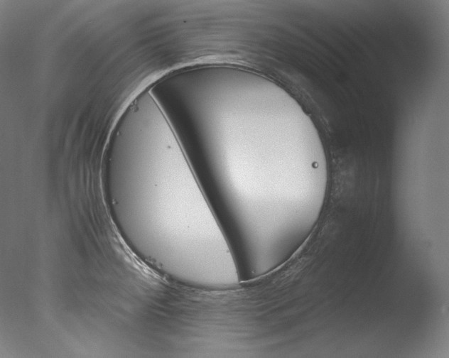 X0000077381284200610201030