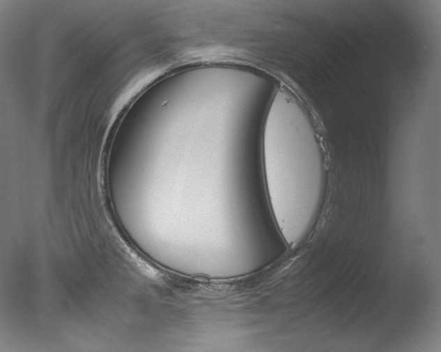 X0000077381285200610201030