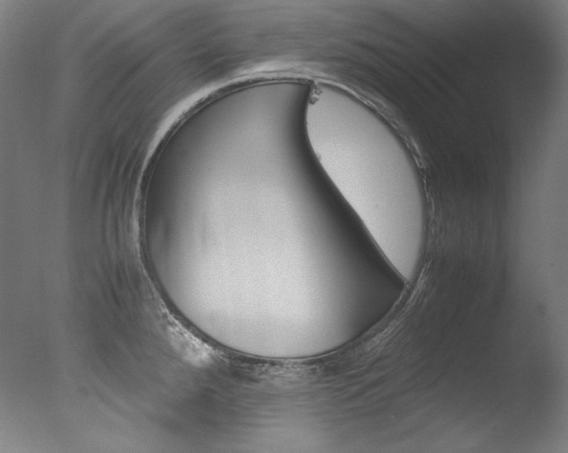 X0000077381288200610201030