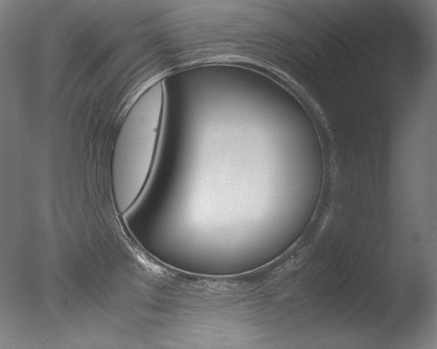 X0000077381289200610201030