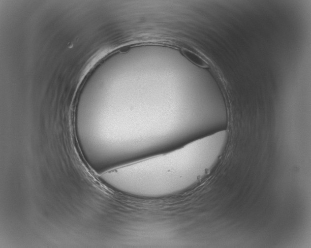 X0000077381291200610201030