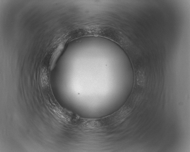 X0000077381298200610201029