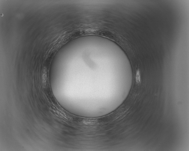 X0000077381299200610201029