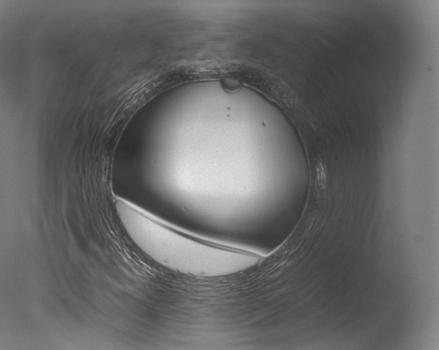 X0000077381300200610201030