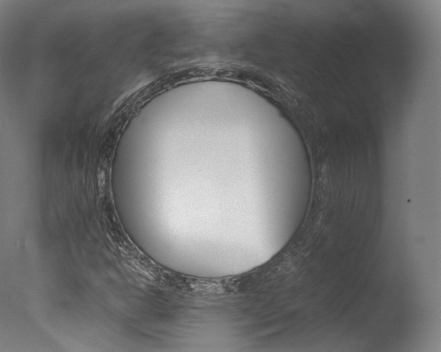 X0000077381302200610201030