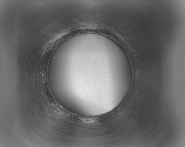 X0000077381303200610201030