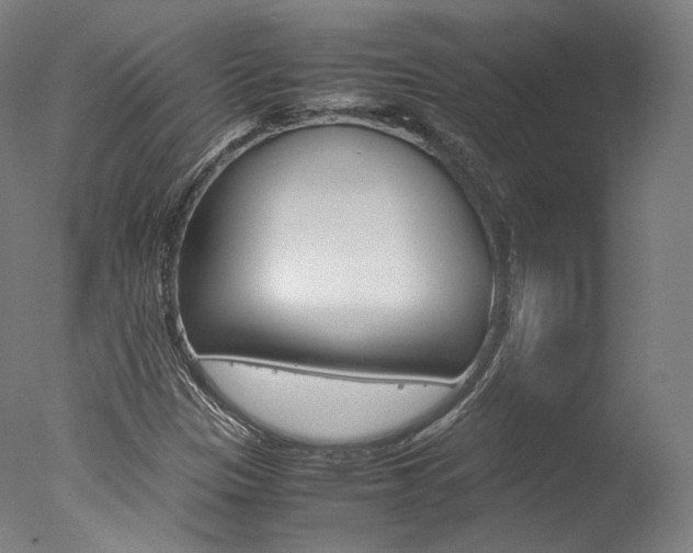 X0000077381305200610201030