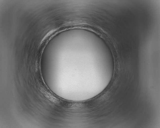 X0000077381306200610201030