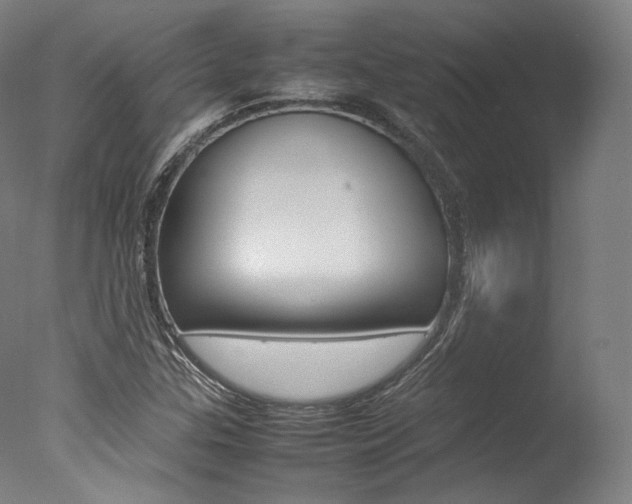 X0000077381307200610201030
