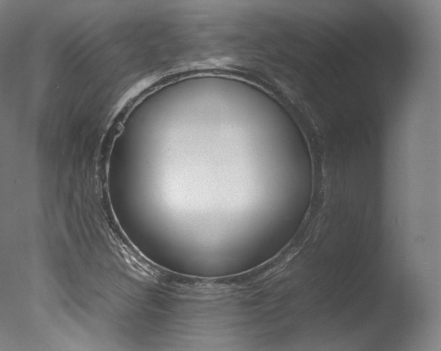 X0000077381308200610201030