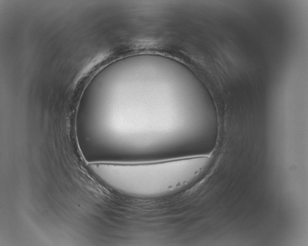 X0000077381309200610201030