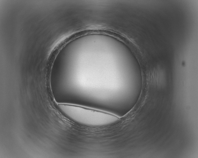 X0000077381311200610201030