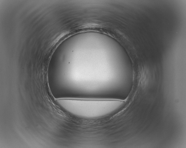 X0000077381313200610201030