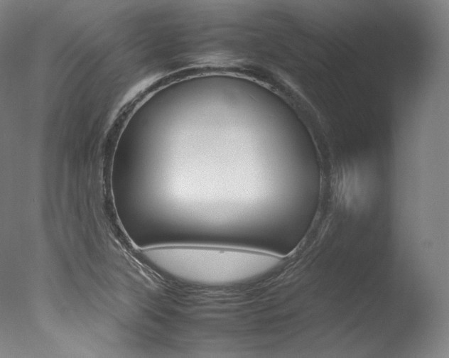 X0000077381315200610201030