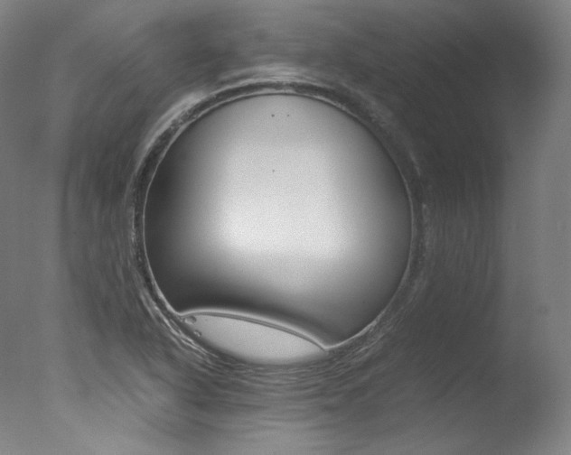X0000077381318200610201030