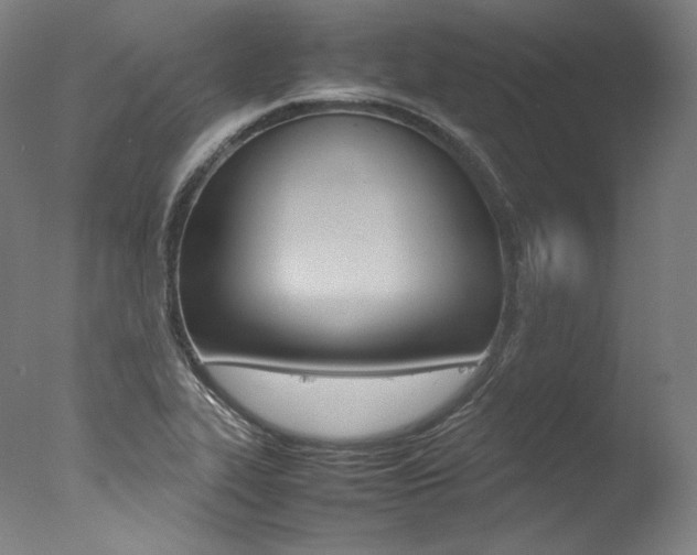 X0000077381319200610201030