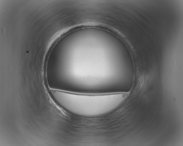 X0000077381327200610201030