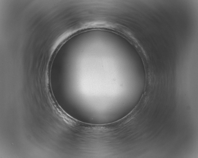 X0000077381328200610201030
