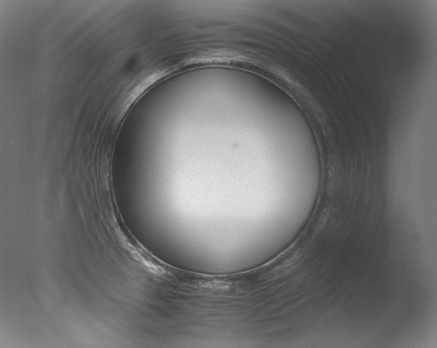 X0000077381329200610201030