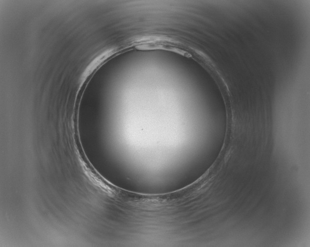 X0000077381330200610201030