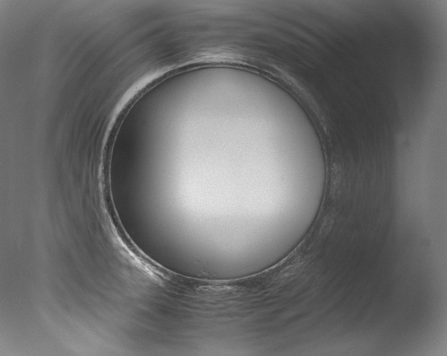 X0000077381331200610201030