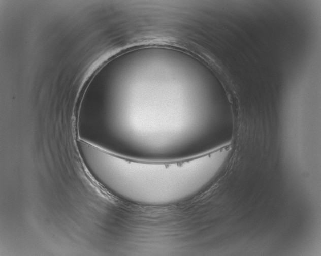 X0000077381332200610201030