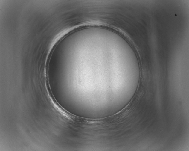 X0000077381335200610201030