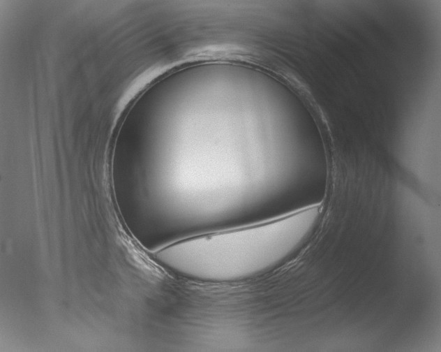 X0000077381336200610201030