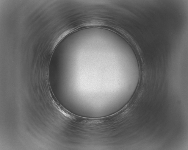 X0000077381337200610201030