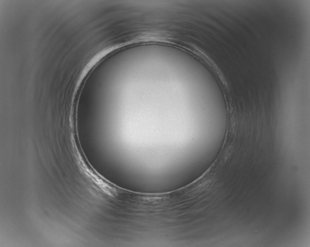 X0000077381339200610201030