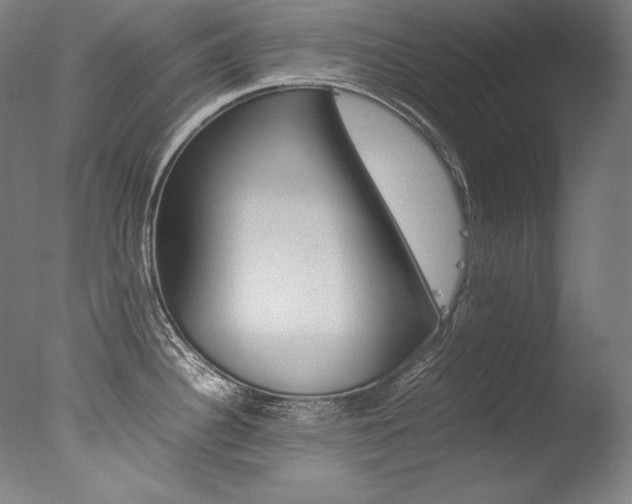 X0000077381340200610201030