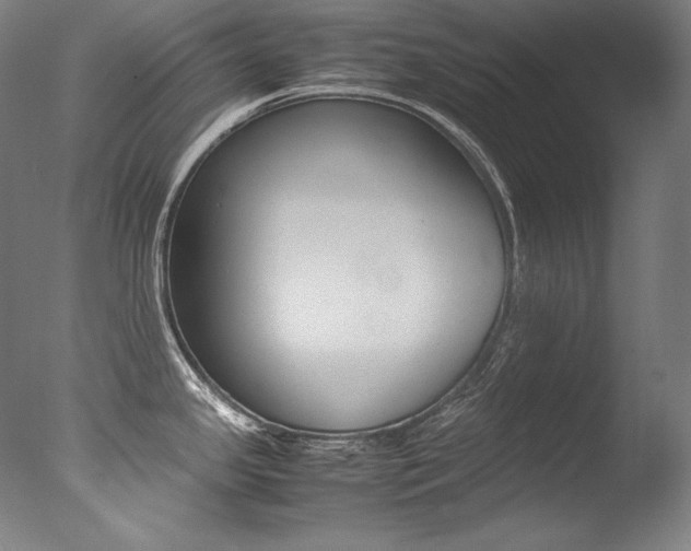 X0000077381341200610201030