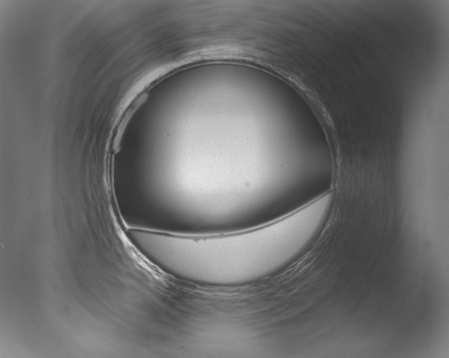 X0000077381342200610201030