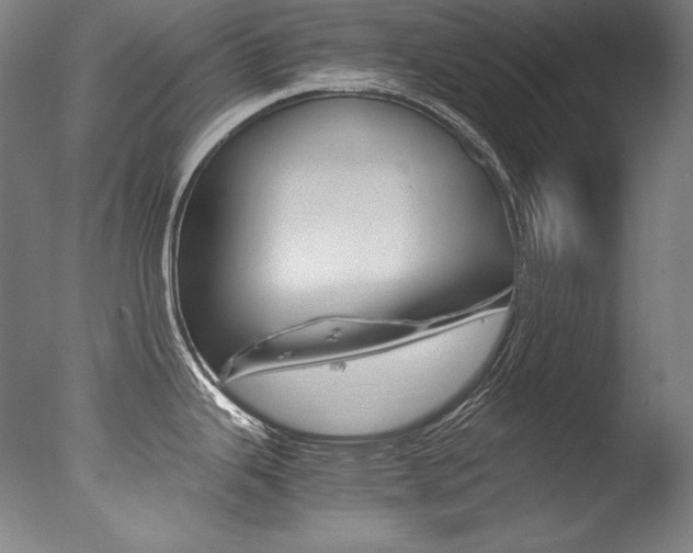 X0000077381343200610201030