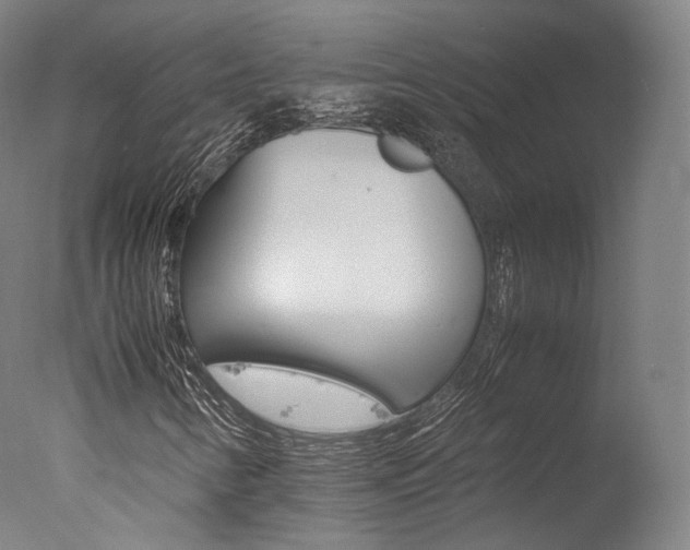 X0000077381346200610201029