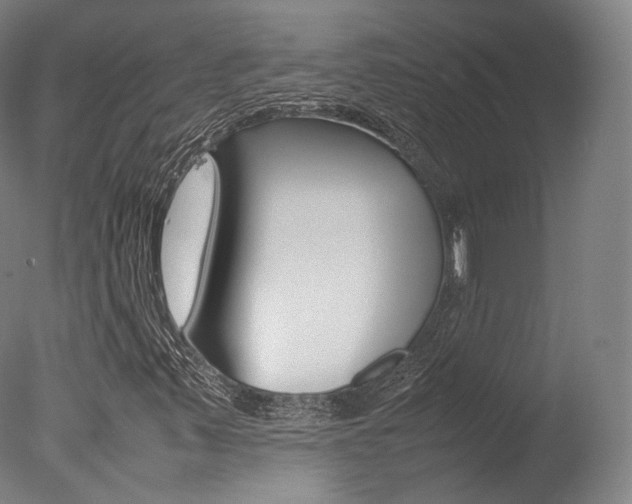 X0000077381347200610201029