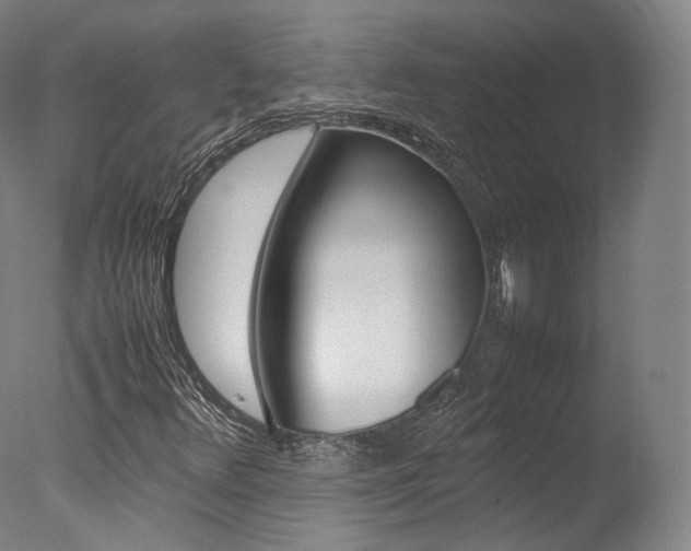 X0000077381348200610201029