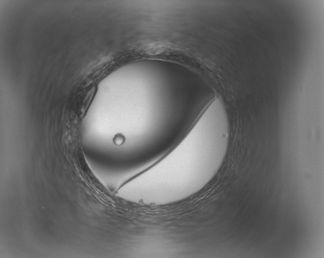 X0000077381349200610201029