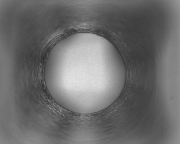 X0000077381350200610201029